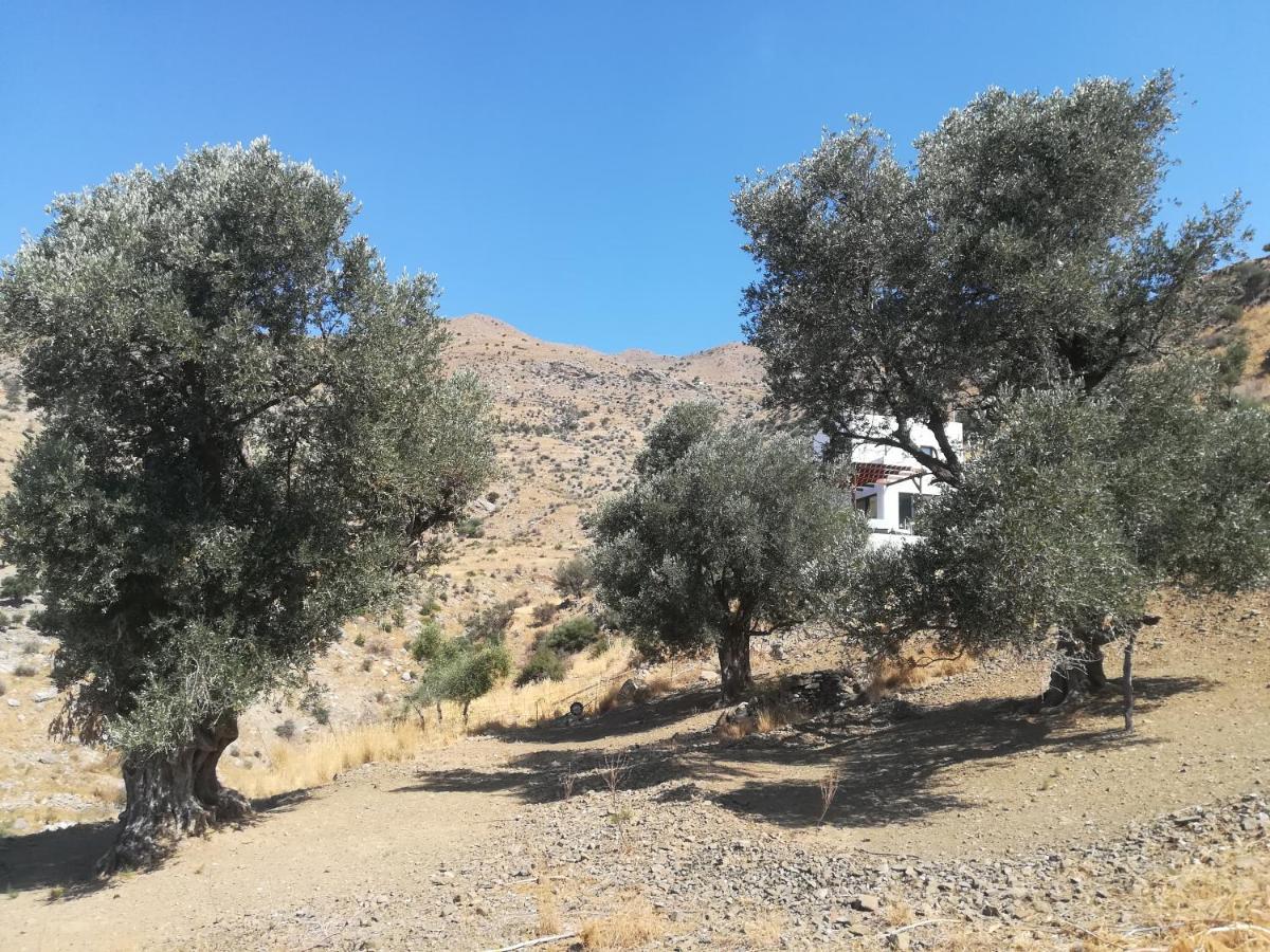 Sea Breeze Ecological Villa Agia Galini Exteriör bild