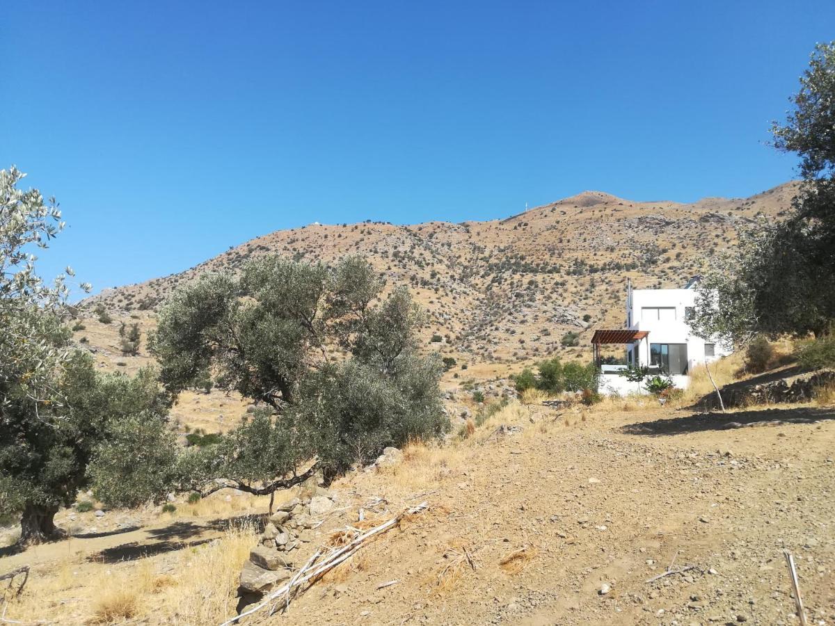 Sea Breeze Ecological Villa Agia Galini Exteriör bild