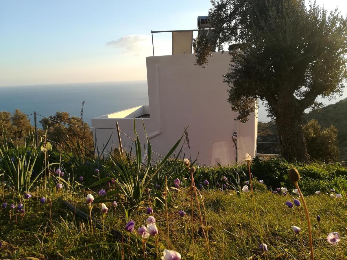 Sea Breeze Ecological Villa Agia Galini Exteriör bild